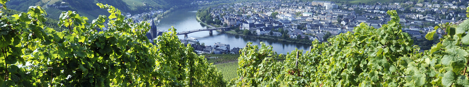 Blick durch die Weinberge auf die Mosel ©DLR